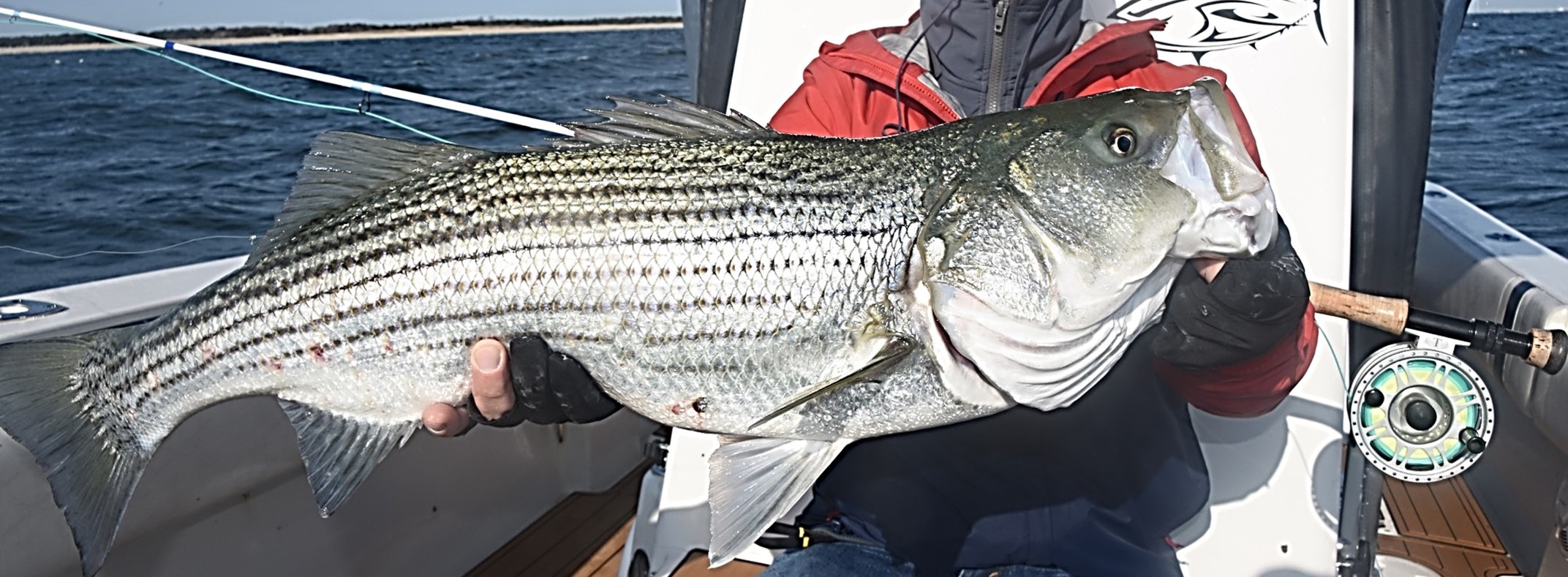 A GUIDE’S GUIDE TO 2021 - American Saltwater Guides Association