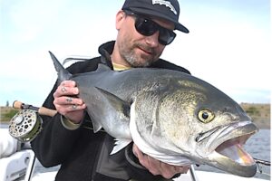 Bluefish on the Fly