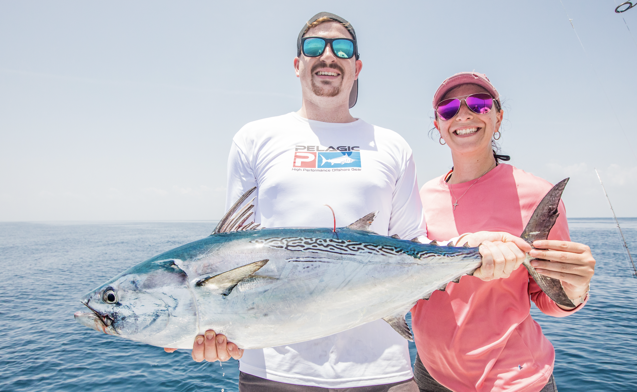 Coastal Journey of False Albacore - Research Update - American ...