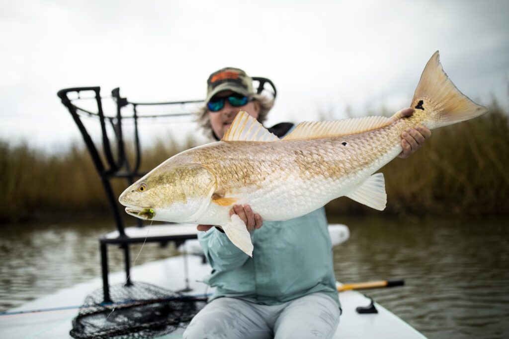 Fisherman with Redfish