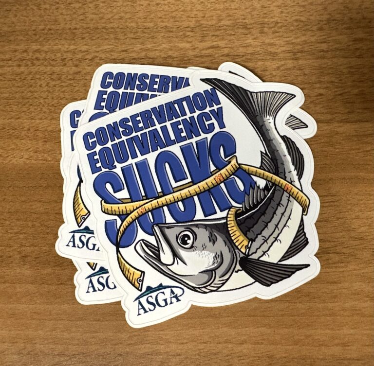 CE Sucks Stickers (2-pack) - Image 2
