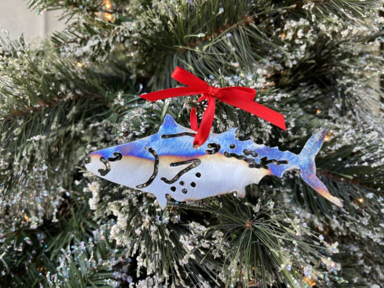 2022 Albie Project Ornament - Limited Edition - Image 2