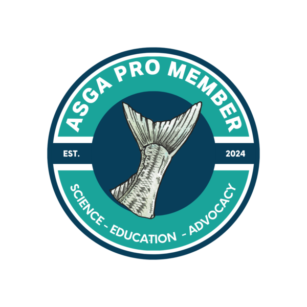 Pro Membership - Image 4