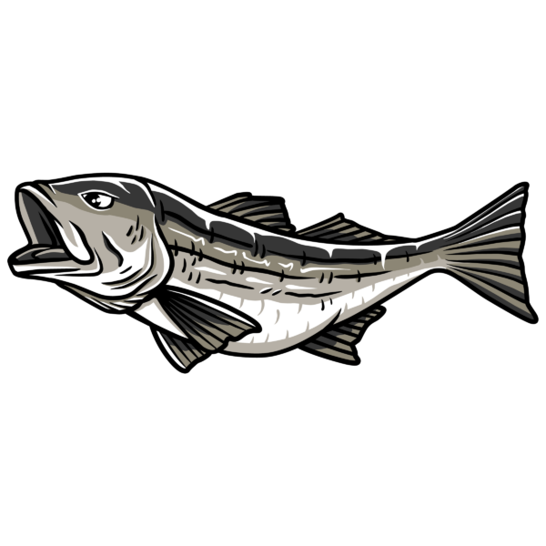 Striped Bass Performance Cap - Image 4