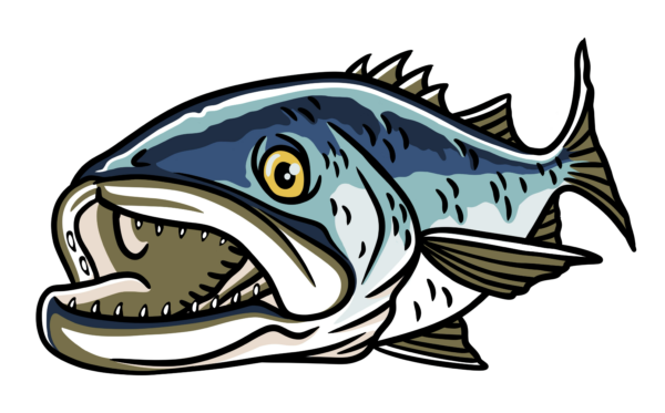 Gator Bluefish Performance Cap - Image 3
