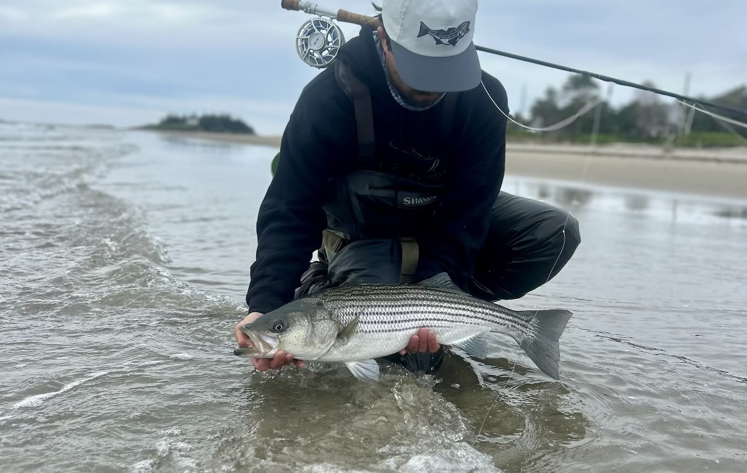 ASMFC Summer 2024 Meeting Preview - American Saltwater Guides Association