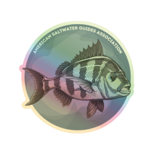 Holographic Sheep - Single Decal