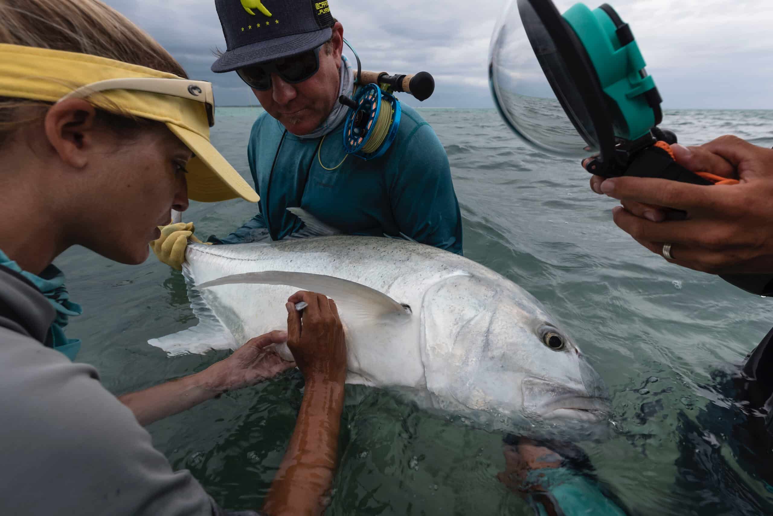 Science in the Seychelles: Keith Rose-Innes of Alphonse Fishing Company ...